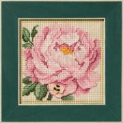 Spring Series - Peony
