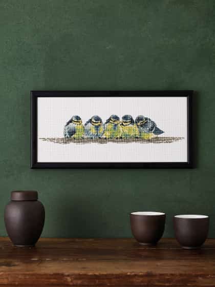 Blue Tit