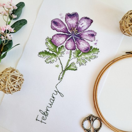 February - Geranium