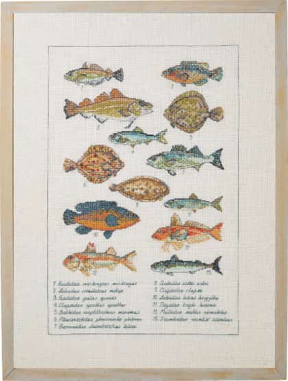 Fish