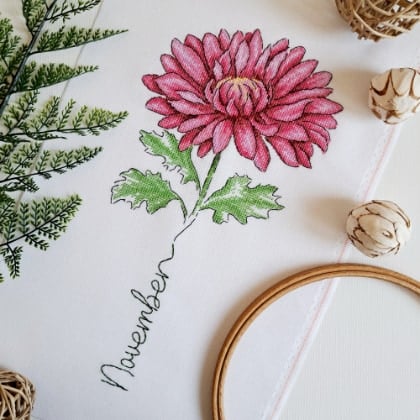 November - Chrysanthemum