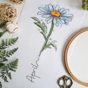 April - Daisy