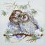 Little Owls