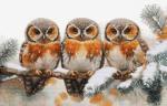 Owls in The Silence of Winter