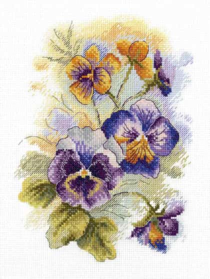 Summer Flowers