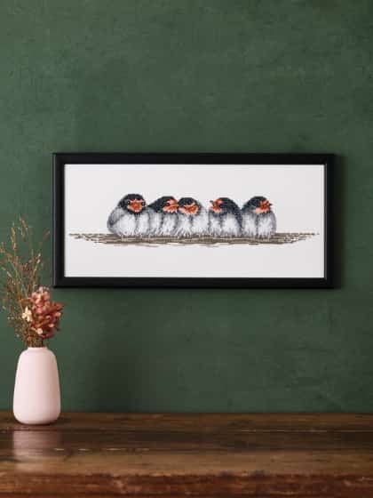 Swallows