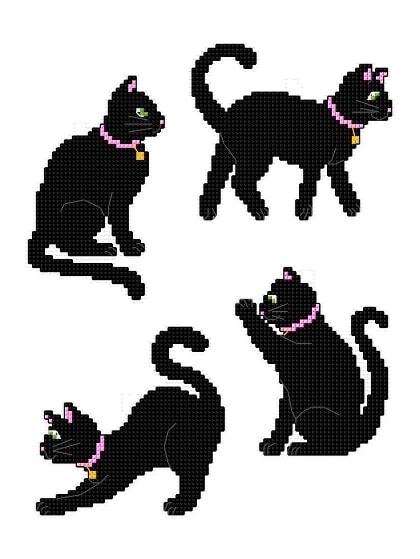 Gatti neri (4)