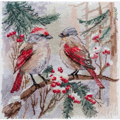 Cinguettii d\'inverno