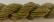 Jumbuck - 1323 Seaweed