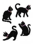 Gatti neri (4)