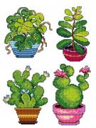 Piante in vaso (4)