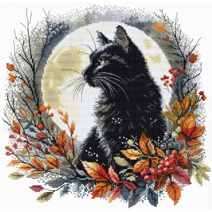 The Night Cat