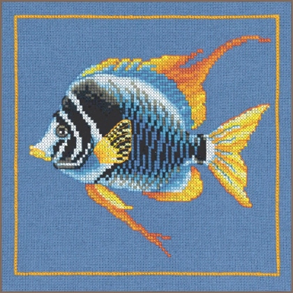 Pesce zebra di fuoco