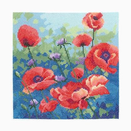 Poppies