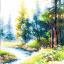 Sounds of Nature