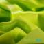 PUL ProSoft FoodSAFE® - 1mil - Verde Mela