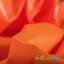 PUL ProSoft FoodSAFE® - 1mil - Arancio