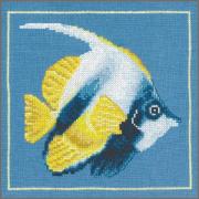 Pesce angelo giallo
