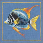 Pesce zebra di fuoco