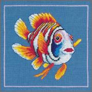 Pesce nemo felice