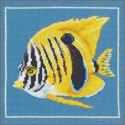 Pesce zebra giallo