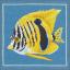Pesce zebra giallo
