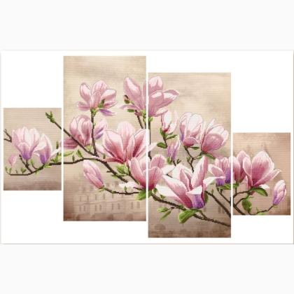 Saucer Magnolia