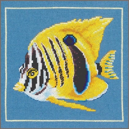 Pesce zebra giallo
