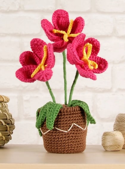 Vaso con fiori