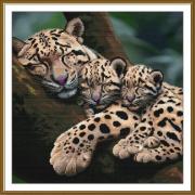 La siesta della mamma