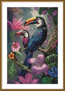 Bellezze tropicali
