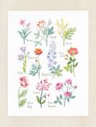 Sampler botanico