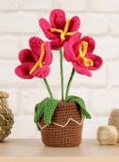 Vaso con fiori