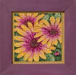 Autumn Series - African Daisies