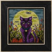 Autumn Series - Spooky Cat