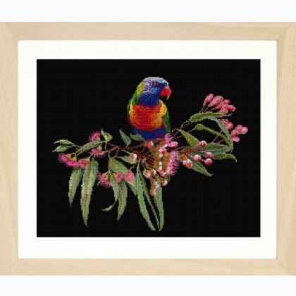 Parrot in Bloom - Nero - Aida