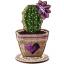 Cactus colonnari - Cuore