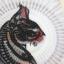 Bastet nella notte