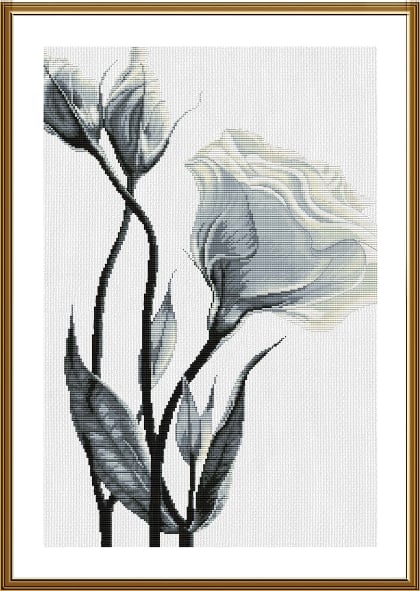 Fiori bianchi dell\'amore