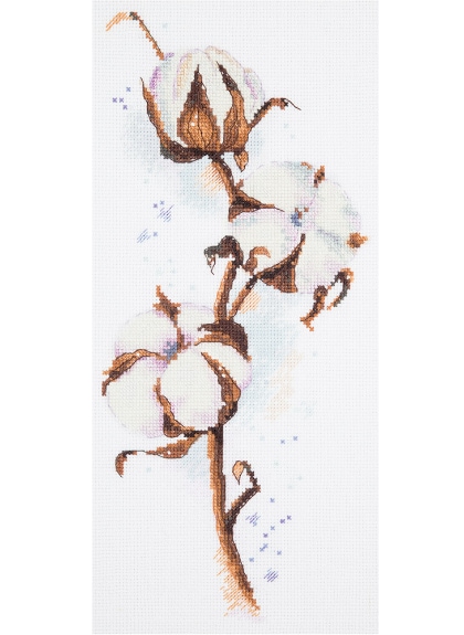 Cotone