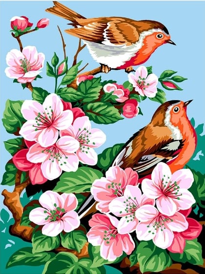 Fiori di ciliegio