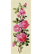 Rose rosa
