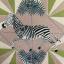 Zebra - Colore classico