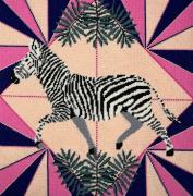 Zebra - Colore vibrante