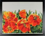 Tulip