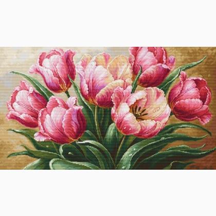 Graceful Tulips - Mezzopunto