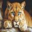 The Wild Spirit