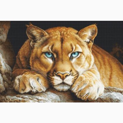 The Wild Spirit