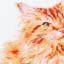 The Ginger Cat