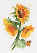 Girasoli luminosi